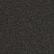 Ковровая плитка Interface Biosfera Boucle 7873 Nero Angola фото 1 | FLOORDEALER